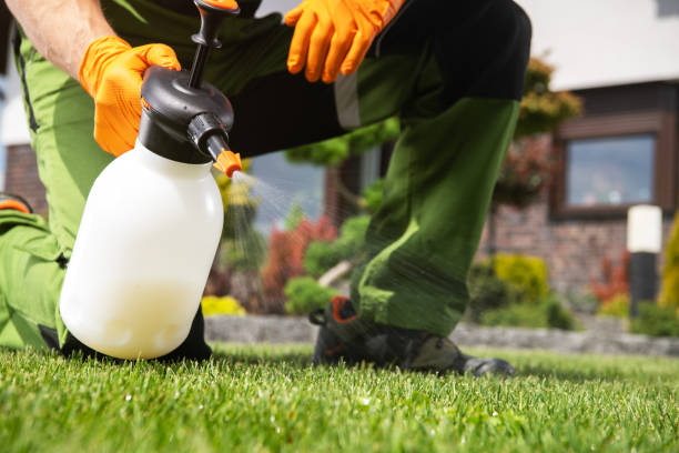 Best Pest Prevention Services  in Eugene, OR