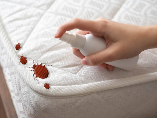 Best Pest Control Cost  in Eugene, OR